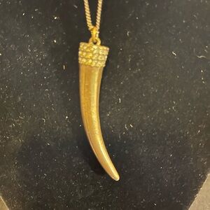AEO signed Horn with crested rhinestones 36” long